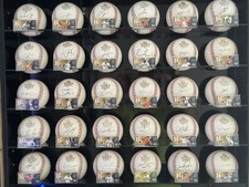 2017 Houston Astros World Series 30 Autograph Baseball with Display Case