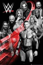 Poster - Studio B - WWE- Superstars 24x36" Wall Art P4691