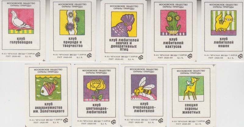 Moscow Nature Conservation Society. Clubs. 9 Vintage Russian matchbox labels
