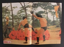 Ultimate Guide to Bruce Lee Collectibles and Memorabilia 42