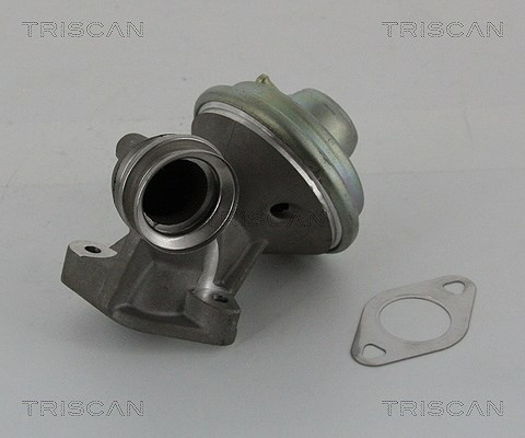 Triscan Agr-Ventil U.A. FüR CitroËN, Ford, Peugeot-image