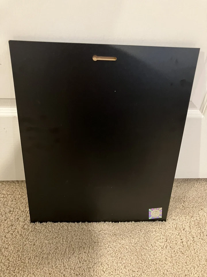 Табличка чемпиона Кубка Стэнли 2002 Detroit Red Wings - Изображение 3 из 4