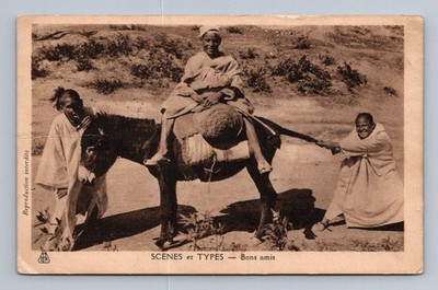 New York Vintage North Africa ALGIERS Arab Children Donkey Scene 1943