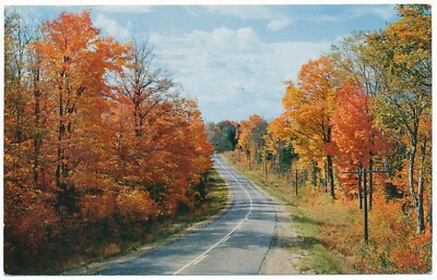 Fall Colours Algonquin Provincial Park Ontario ON Highway Hwy 60