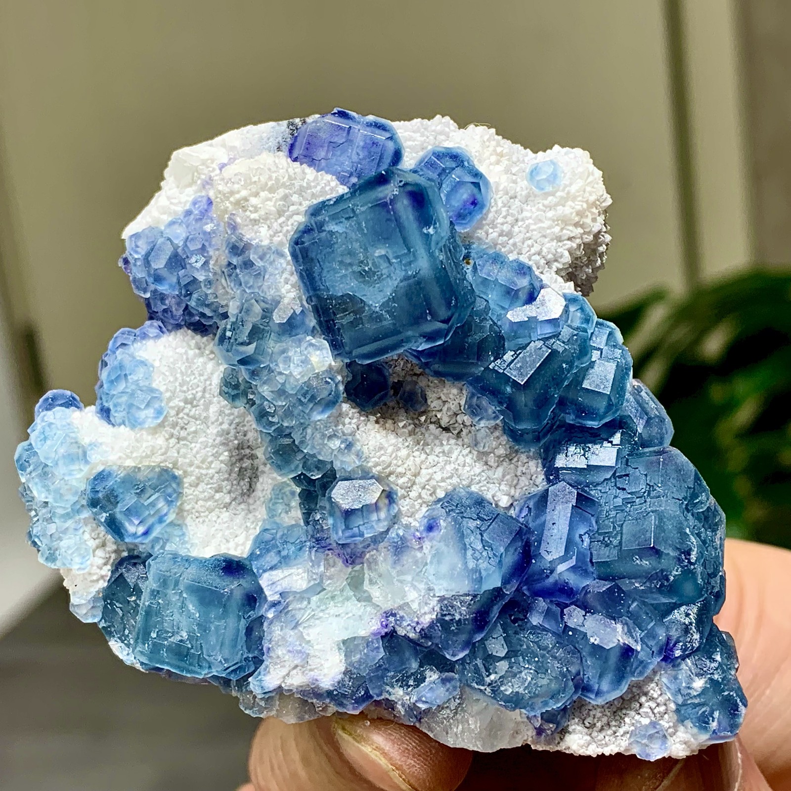 122G Natural  Morandi blue-green Fluorite Mineral Sample/Fujian