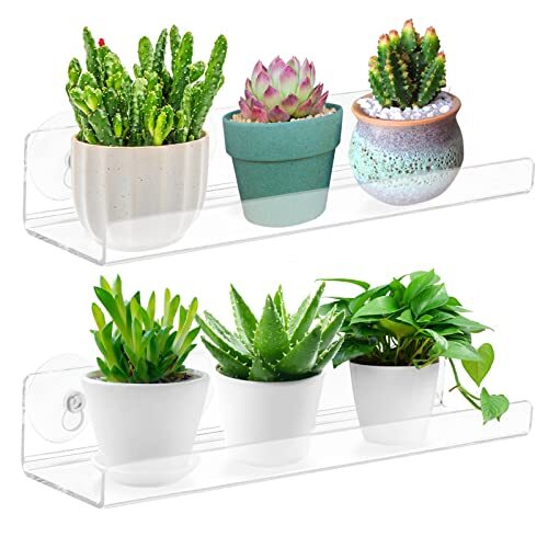 Paquete de 2 estantes de ventosas para ventana de plantas, alféizar de ventana de acrílico de 15 pulgadas - Imagen 1 de 7