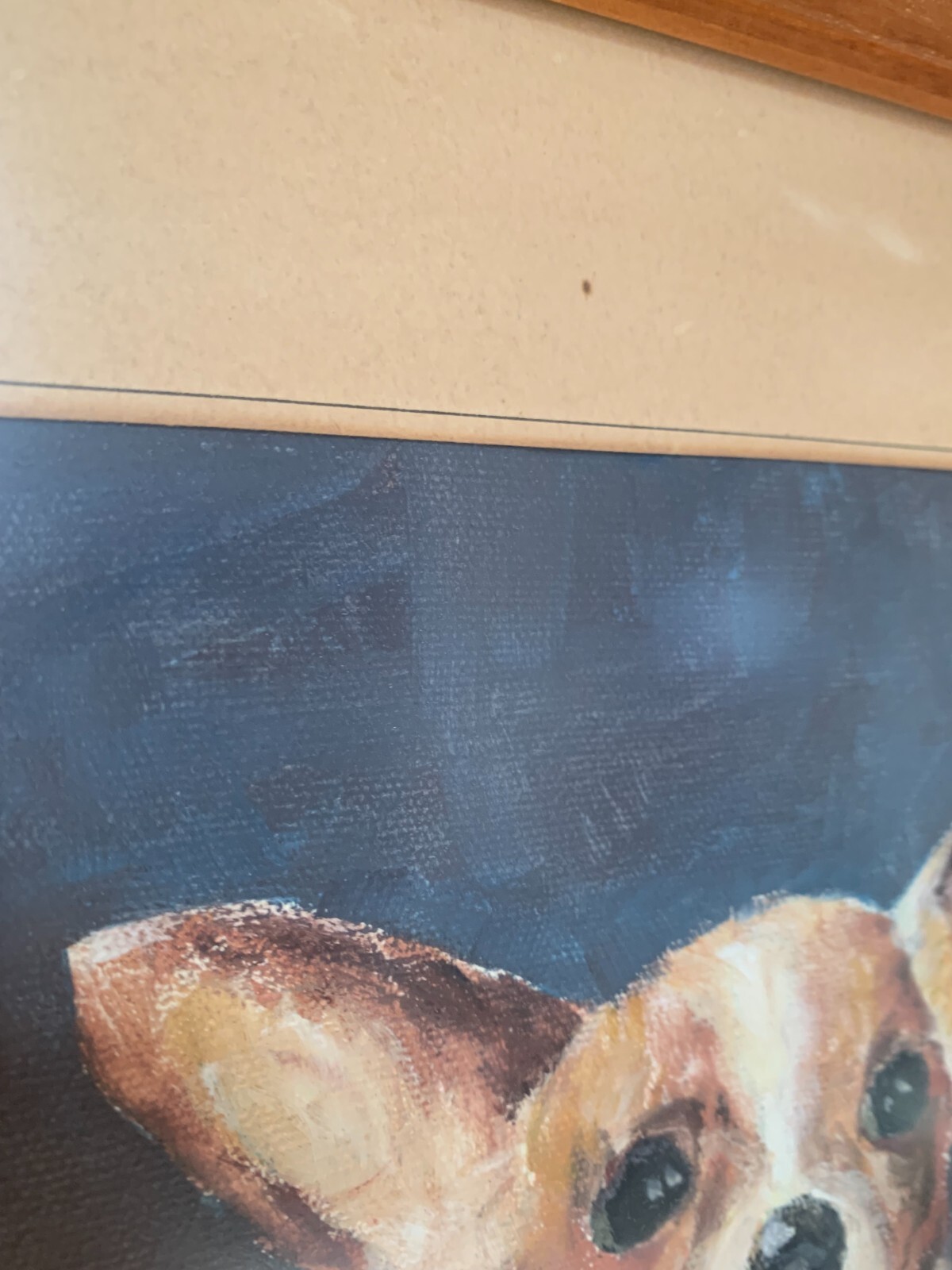 Picture 7 of 24