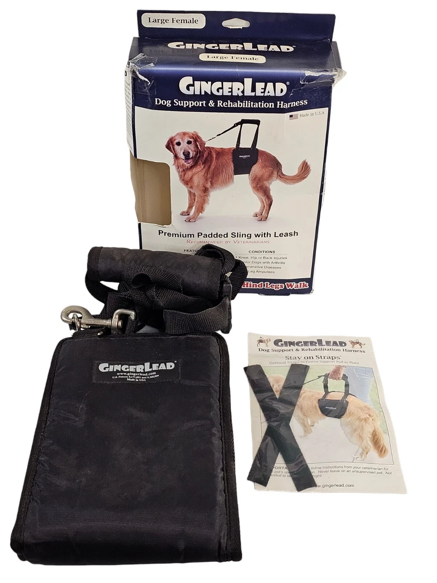 Gingerlead dog cheap support reviews