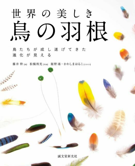 Bird Feathers Of The World Photo Collection Book Japanese Japan Ka For Sale Online Ebay