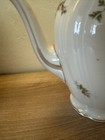 Picture 5 of 11