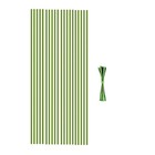 PflanzenstäBe, PflanzenstüTzstäBe, Geeignet für Zimmerpflanzen, 20 StüCk Bi1940