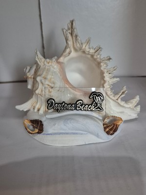 decorative seashell souvenir with ''Daytona Beach'' written on it