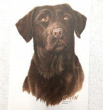 Camiseta James Killen Perro Arte Chocolate Labrador Retriever Hierro Sobre Transferencia de Calor