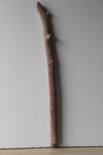 Treibholz Schwemmholz Driftwood 1 XL Ast Garderobe Dekoration - Bild 2 von 12