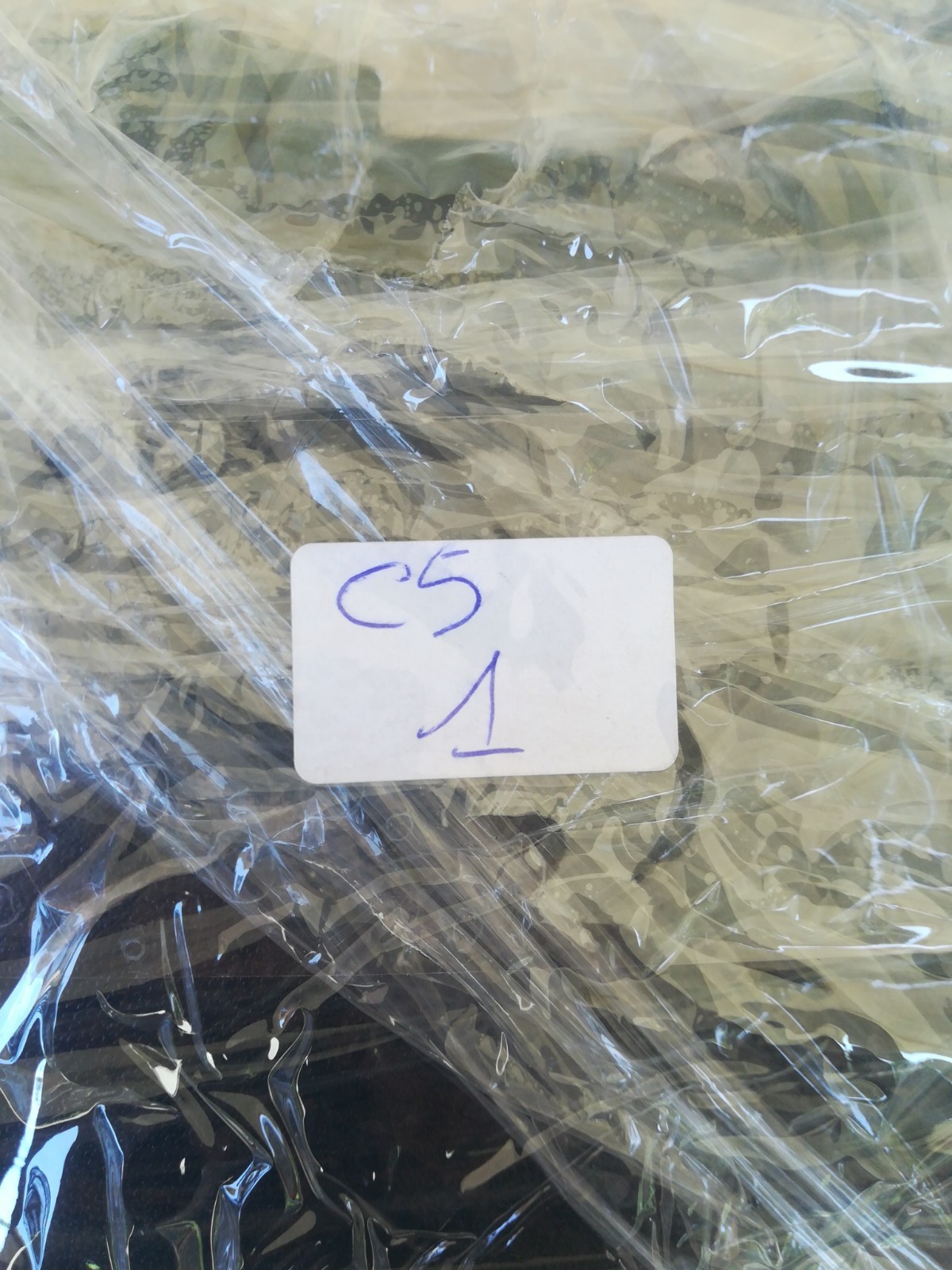 Foto 17 di 17