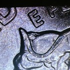 Bild 11 von 11