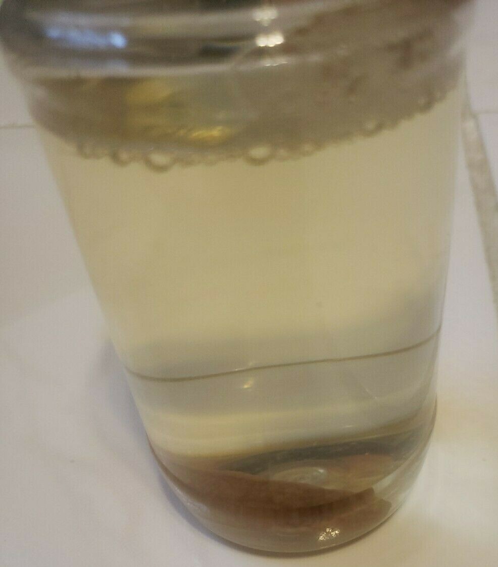 Picture 6 of 7