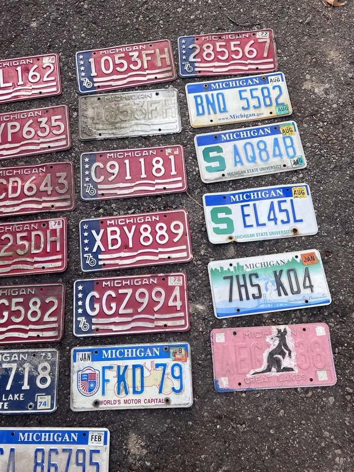 Лот Мичиган винтажные номерные знаки сняты с производства 1970-е 1980-е 1976 Двухсотлетие Msu - Изображение 4 из 4