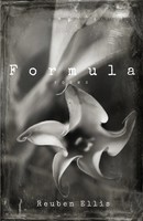 Formula Reuben Ellis Taschenbuch Kartoniert / Broschiert Englisch 2019