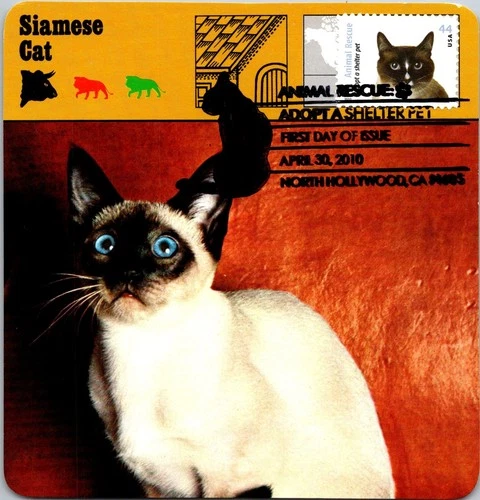 Dr Jim Stamps Maximum Card Animal Rescue Adopt A Pet Cat 44C Fdc