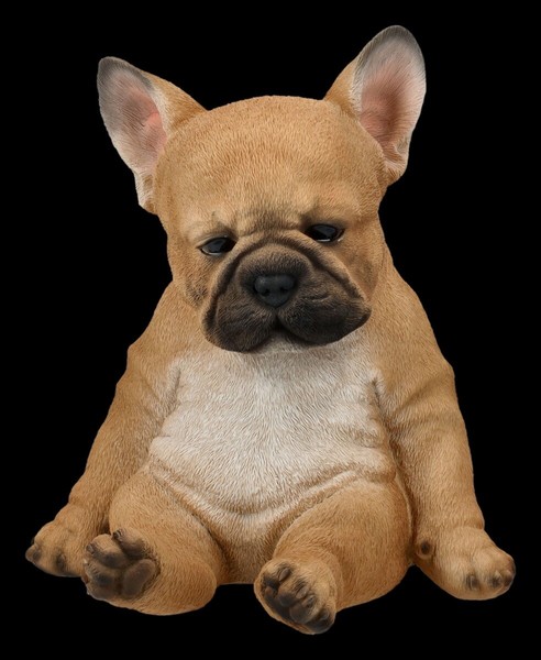 FranzöSische Bulldogge Figur - Welpe K.O. By Hotant - Tiere Hunde ZüChter Garten-image