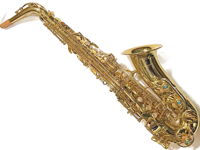 Yanagisawa A-WO1 Alto Saxophone A WO1 with Case NEW | eBay