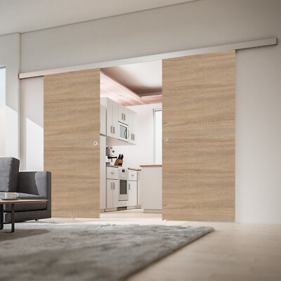 Doppel Holzschiebetür 2x 755x2035 Schiebetürsystem Doppelschiebetür Holz Tür