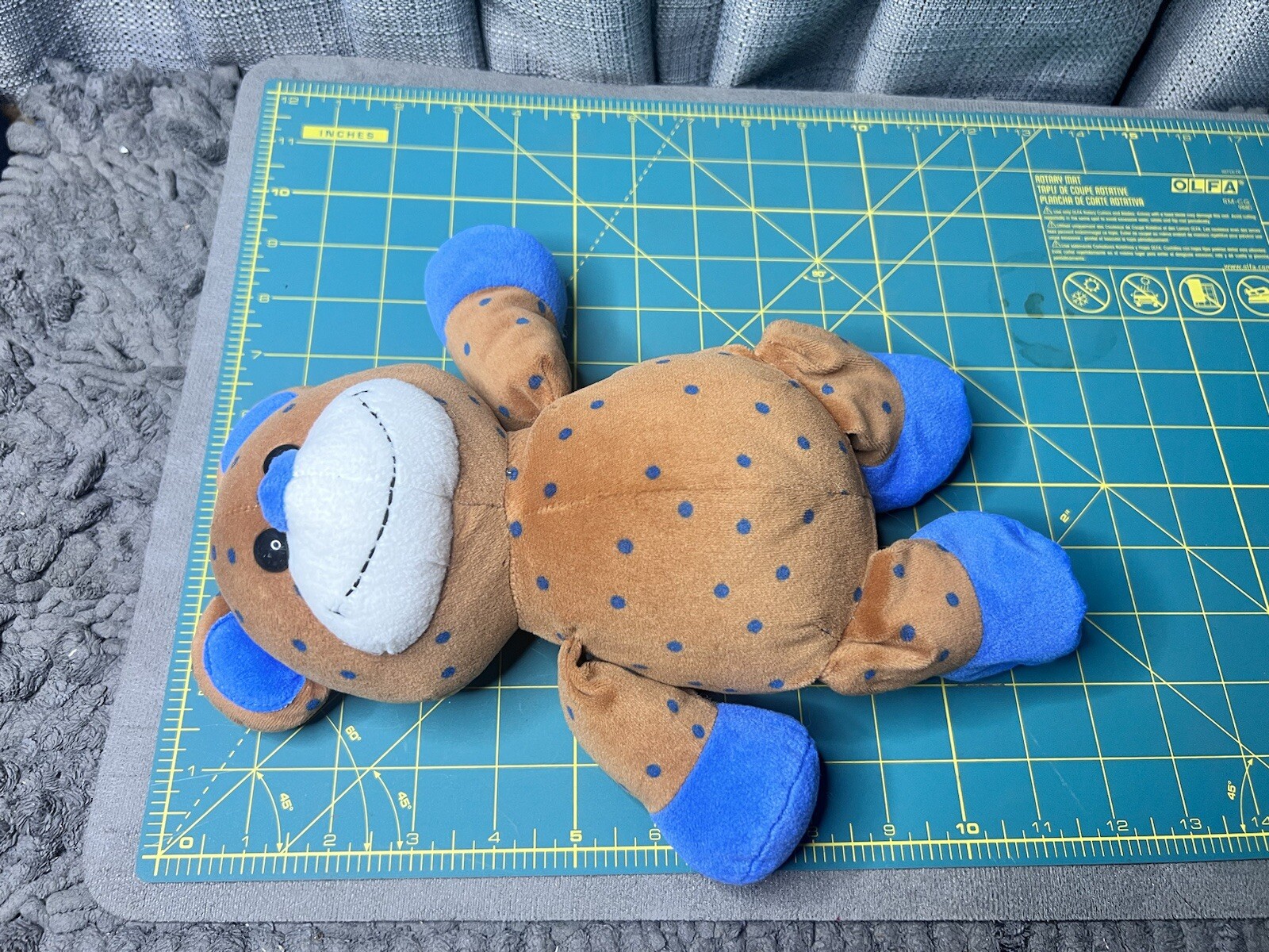 Picture 11 of 11