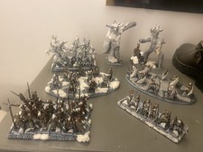 Fully Painted Warhammer Fantasy/ The Old World Wood Elves Army.