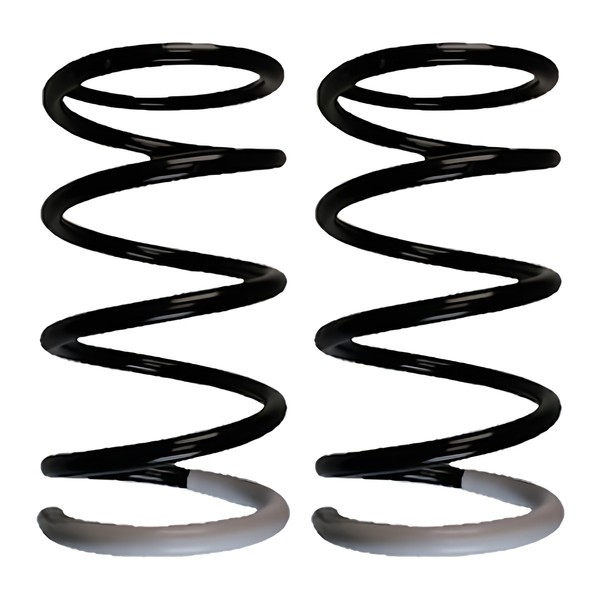 Fahrwerksfedern-Set Hinterachse Schraubenfeder Ø147Mm Spidan FüR U.A. Toyota RAV-image