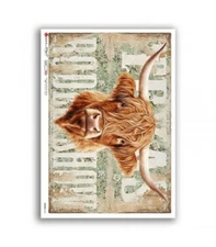 Highland Cow Portrait | A4 Rice Paper | Paper for Decoupage | Paper Designs