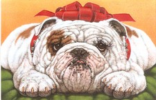 Bulldog Bow Embossed Christmas Cards Box of 16 Made in the US from Pumpernickel