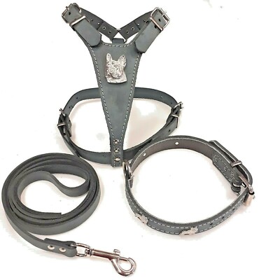 grey dog harness