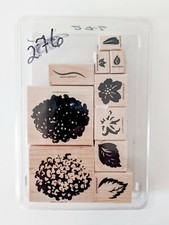 Stampin UP Wood Block Set - Definitely Decorative Hydrangea Flowers Leaves