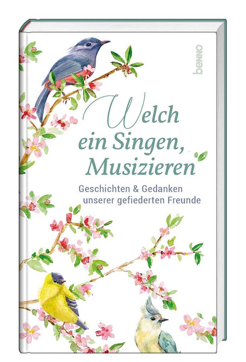 Thumbnail - Welch Ein Singen, Musizieren