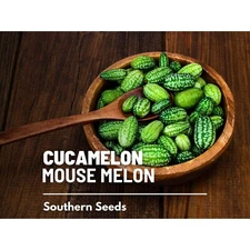 Mouse Melon Seeds, Heirloom Mexican Sour Gherkin, USA Grown