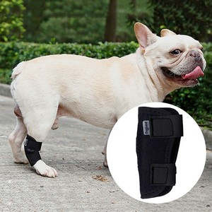 canine knee brace by neoprene