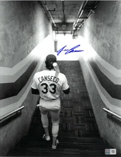 Jose Canseco signed Oakland A's B&W 11x14 Photo- Tri-Star Hologram