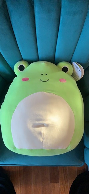 squishmallow wendy 16