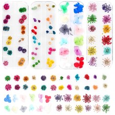 4 Boxes Natural Dried Flowers Nail Art DIY Crafting Decoration Supplies