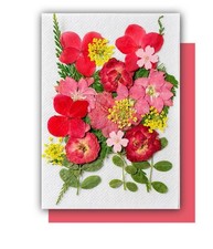 Flowers Home Decoration Dried Flowers DIY Resin Craft Pressed Natural Flower