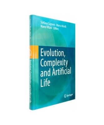 Evolution, Complexity and Artificial Life