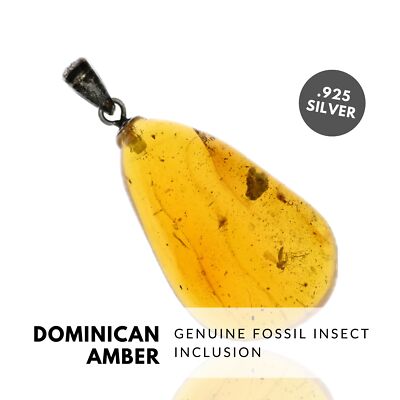 GNAT - Natural Dominican Amber Pendant, Fossil Inclusion, Sterling Silver