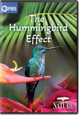 DVD PBS Nature: The Hummingbird Effect NEW