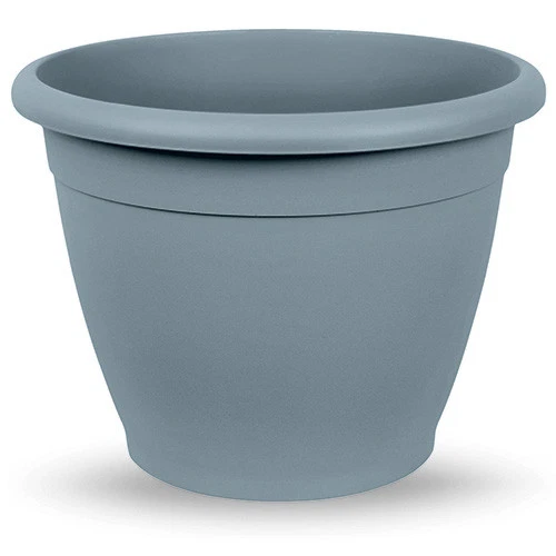 Spalliera di Limoni Vaso 20 – Beccaria Piante