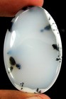 Foto 1 di 2