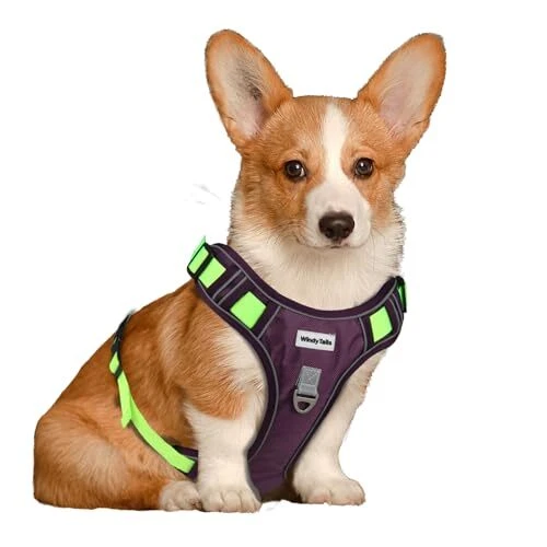 Dog Harness for Large Medium X-Large Sized Dog, No Pull Tatical Small Purple Dog Harness for Large Medium X-Large Sized Dog, No Pull Tatical Small Purple
