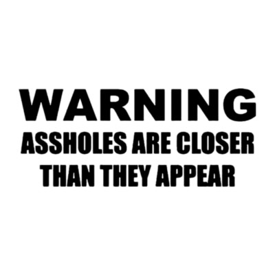 Warning A**holes Are Closer Than They Appear Decal Sticker Bumper Laptop