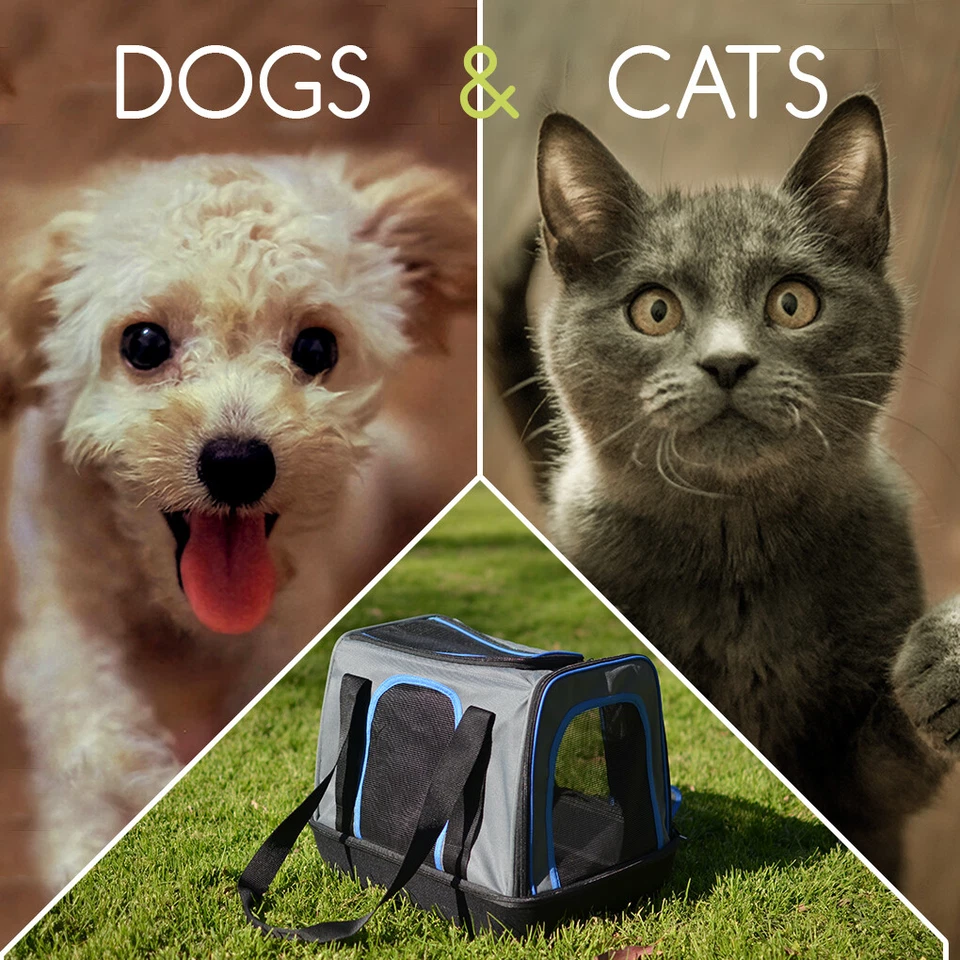 Bolsa de viaje emergente PET CARRIER caja de transporte para perros gato con fondo de EVA reforzado Foto 3 de 4