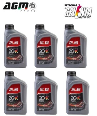 6 Liter Motoröl SELENIA Performer 20K Plus 5W40 A3 B4 70651E18EU